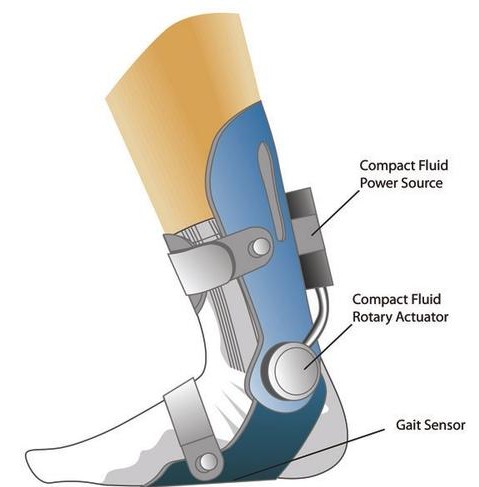 The development of a light, compact, efficient, ultra-low-powered, untethered Ankle Foot Orthosis (AFO) system has the potential to yield significant advances in orthotic control mechanisms and treatment strategies.
