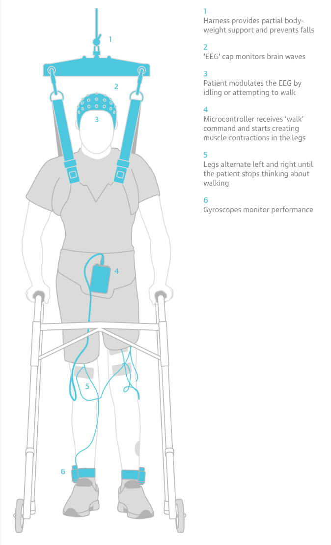 Paraplegic_man_walks_with_own_legs_again___Science___The_Guardian
