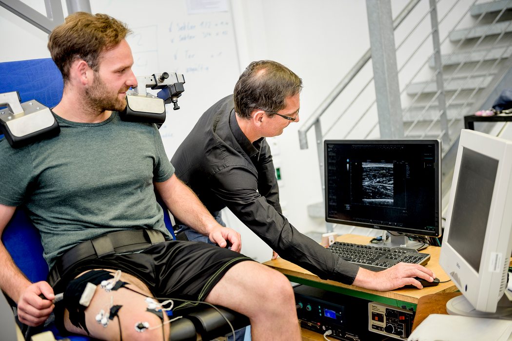 Fig. 1. Researchers can also use ultrasound to measure how muscles behave under maximum tension. RUB, Damian Gorczany